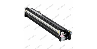 D2443020 Ricoh оригинальный черный блок проявки для Ricoh Aficio MP C2004/Ricoh Aficio MP C2504 (18 000 стр)