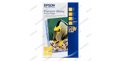 S041706 Бумага Epson Premium Glossy Photo Paper, 255 г/м2  (10х15см) 20л