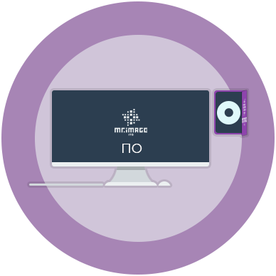 Программное обеспечение (ПО)